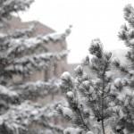 Spring semester starts snowy
