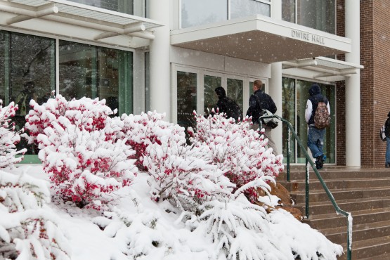 IMG_3746 Snowy Dwire Hall Snowy Dwire Hall