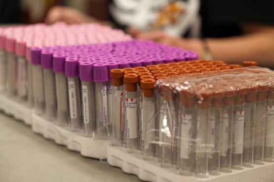 Blood Drive vials