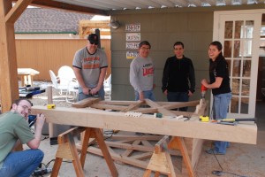 building the trebuchet1