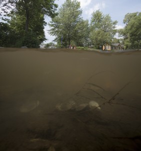 Holly Parker Dearborn, Extreme Force: Active Ingredients Series, Used-motor-oil and dirt, 2014. 