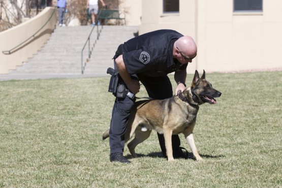 Officer Brian Kelly handles Canine Broc, a malinois-German shephard mix
