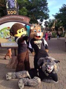Clyde poses with Ralphie (left) and Milo (bottom) at 2014's CU day at the Denver Zoo