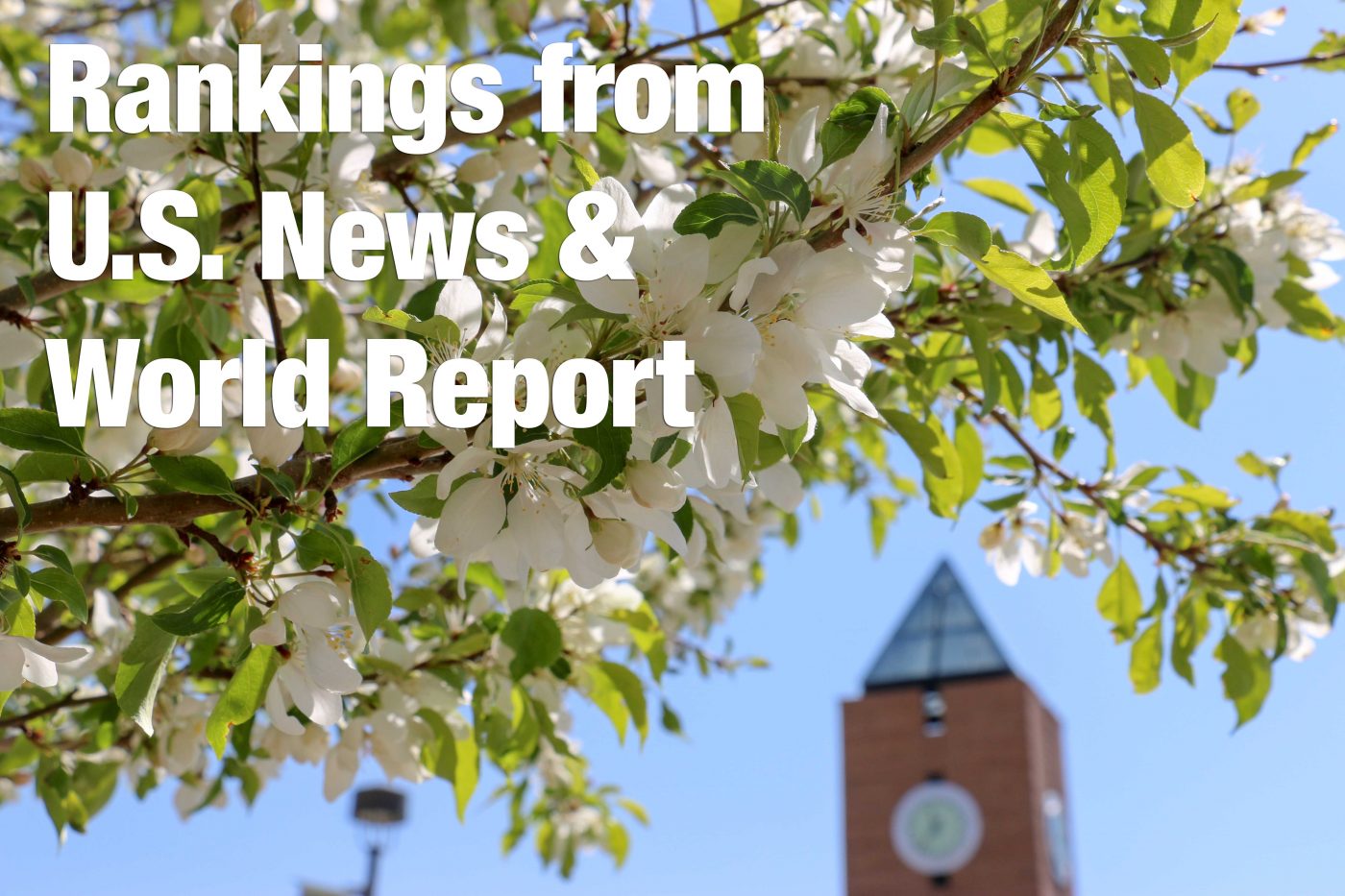 Eight Graduate Programs Ranked Among Nation’s Best By U.S. News & World ...