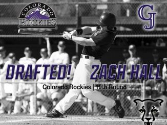 Zach Hall drafted by the Colorado Rockies