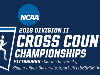 2018 NCAA cross country championships logo