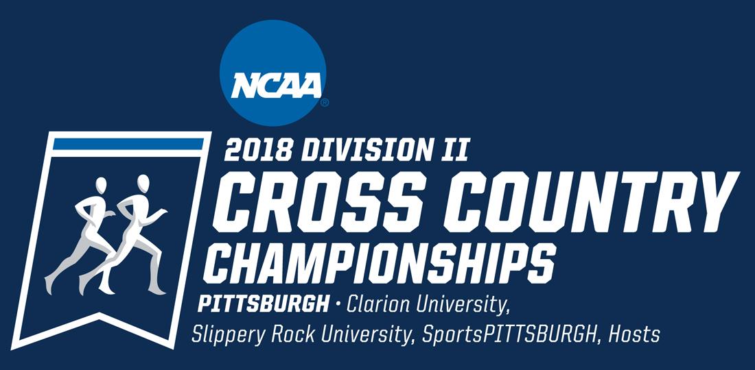 Both cross country teams qualify for national championships UCCS