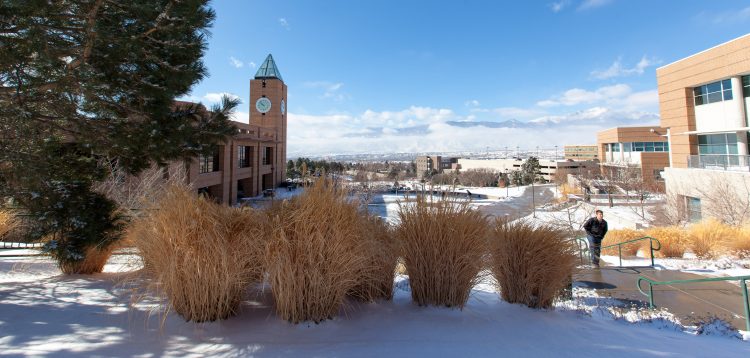 Campus during winter