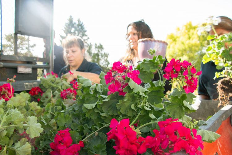 Plants are sold ahead of freezing temperatures on campus.