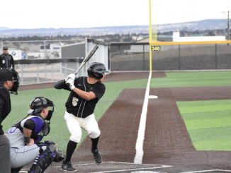 Luis Samorano waits for the pitch in the batters box at Mountain Lion Park.