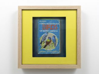 A photo of a framed piece of artwork