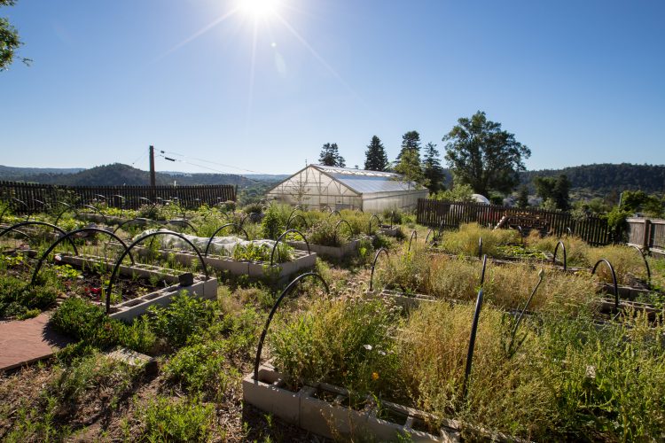 50 years from first Earth Day celebration, UCCS continues commitment to