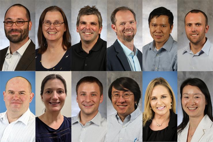 Headshots of 12 faculty members, all who earned tenure in 2020