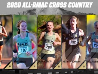 Five action photos of cross country runners